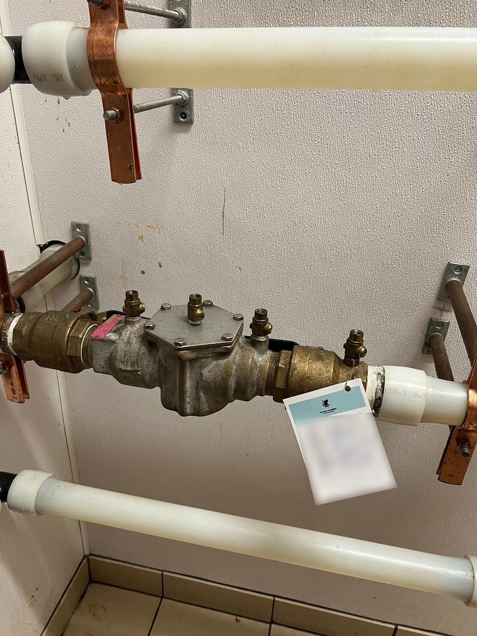 2-inch double-check valve assembly with a Prosafe test tag on a building's domestic water line
